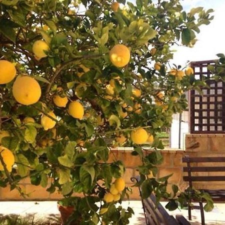 Villa Mara B&B Ното Экстерьер фото