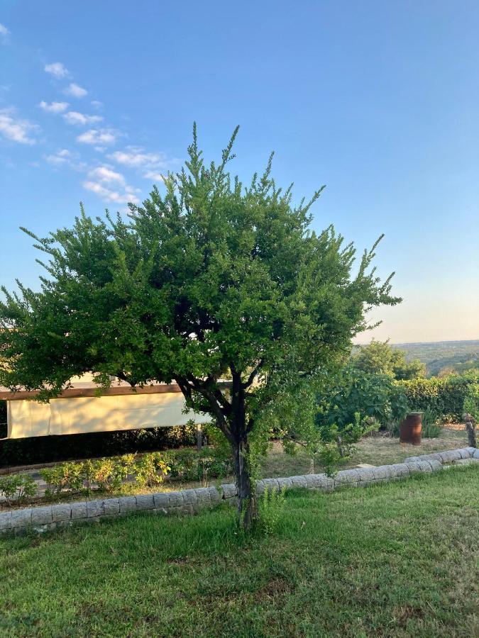 Villa Mara B&B Ното Экстерьер фото