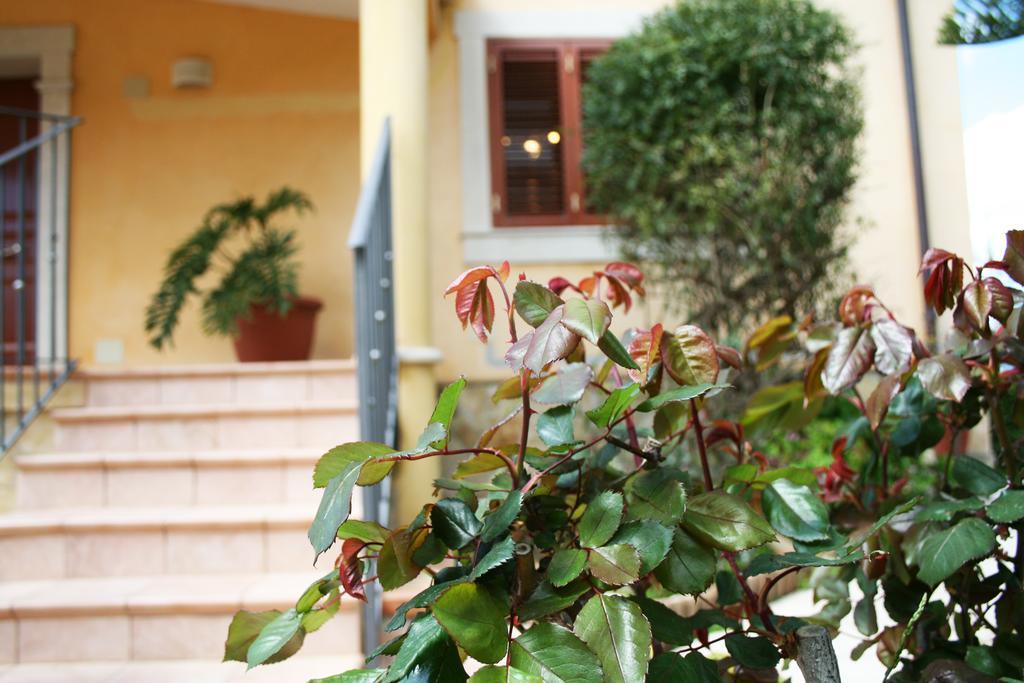 Villa Mara B&B Ното Экстерьер фото