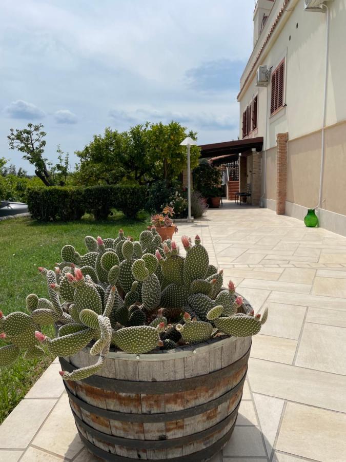 Villa Mara B&B Ното Экстерьер фото