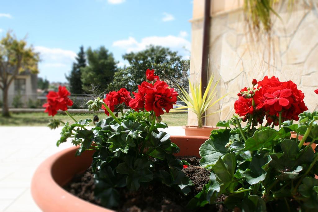 Villa Mara B&B Ното Экстерьер фото