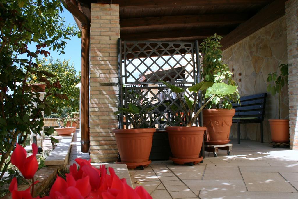 Villa Mara B&B Ното Экстерьер фото