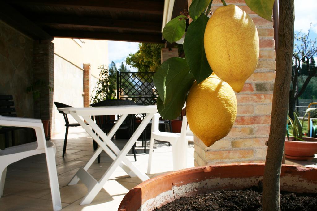 Villa Mara B&B Ното Экстерьер фото