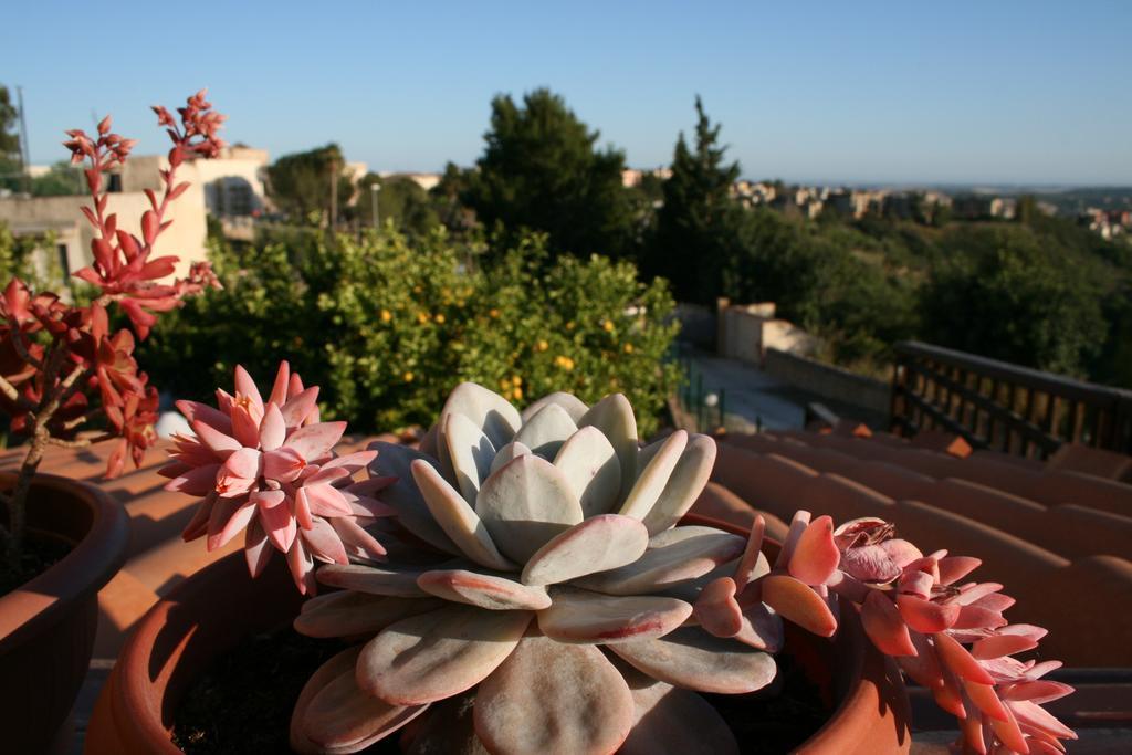 Villa Mara B&B Ното Экстерьер фото