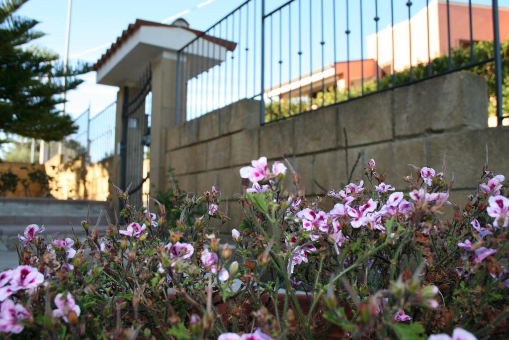 Villa Mara B&B Ното Экстерьер фото